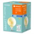 Светодиодная лампа Smart+BT Filament Globe Dimmable 55 6W/2400K E27 Светодиодная лампа Smart+BT Filament Globe Dimmable 55 6W/2400K E27